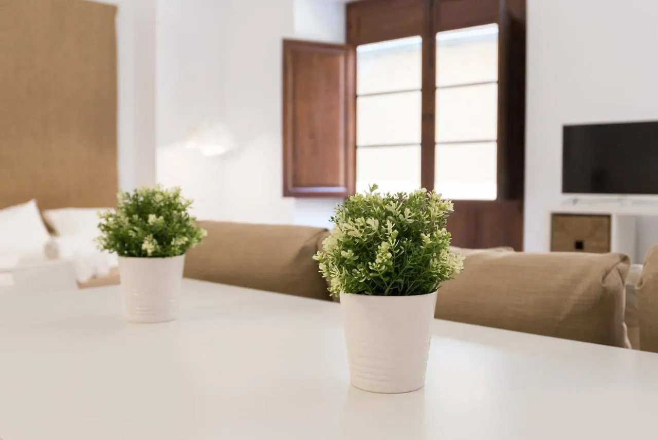 Apartamento Santiago Premium Loft I Málaga